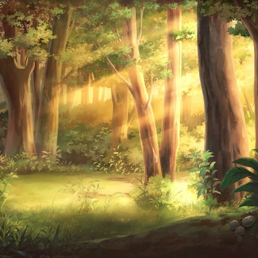 Los límites como el bosque